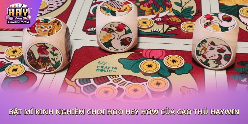 Bật mí kinh nghiệm chơi Hoo Hey How của cao thủ Haywin
