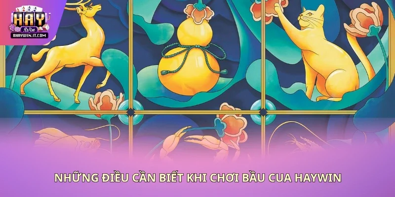 Một vài kiến thức quan trọng cần nhớ khi chơi cua bầu Haywin