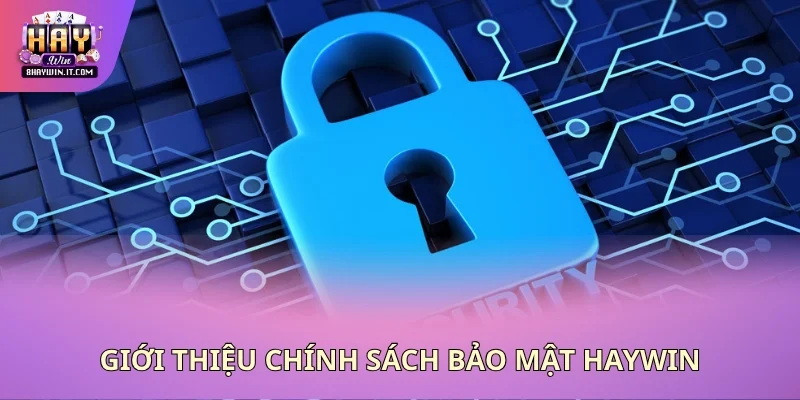 Giới thiệu chính sách bảo mật Haywin Giới thiệu chính sách bảo mật Haywin