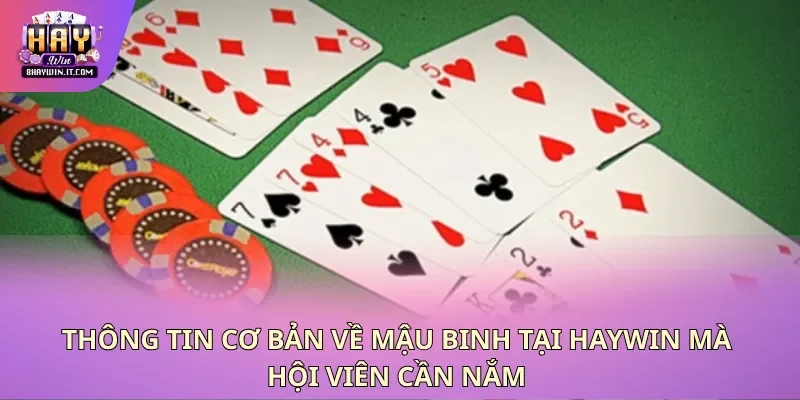 Thông tin cơ bản về mậu binh tại Haywin mà hội viên cần nắm
