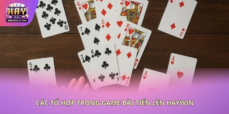 Một số thuật ngữ quan trọng Một số thuật ngữ quan trọng