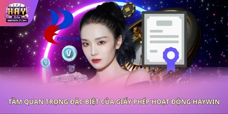 Vai trò không thể thay thế của chứng nhận pháp lý Haywin Vai trò không thể thay thế của chứng nhận pháp lý Haywin