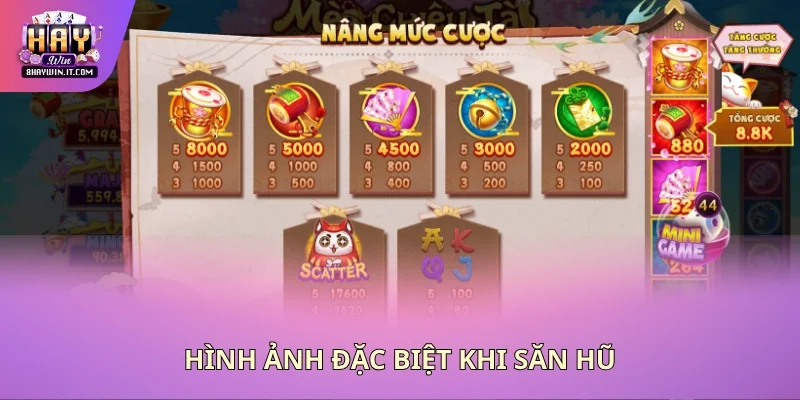 Hình ảnh đặc biệt khi săn hũ Hình ảnh đặc biệt khi săn hũ