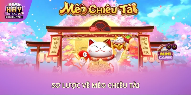 Sơ lược về mèo chiêu tài Sơ lược về mèo chiêu tài