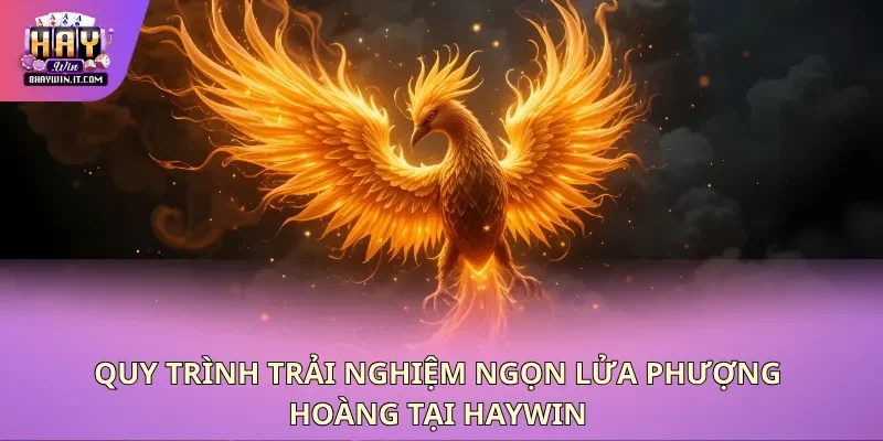 Quy trình trải nghiệm ngọn lửa phượng hoàng tại haywin Quy trình trải nghiệm ngọn lửa phượng hoàng tại haywin