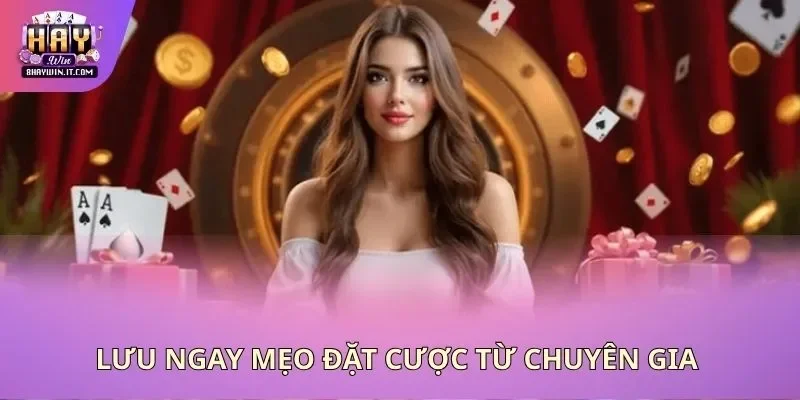 Lưu ngay mẹo đặt cược từ chuyên gia Lưu ngay mẹo đặt cược từ chuyên gia