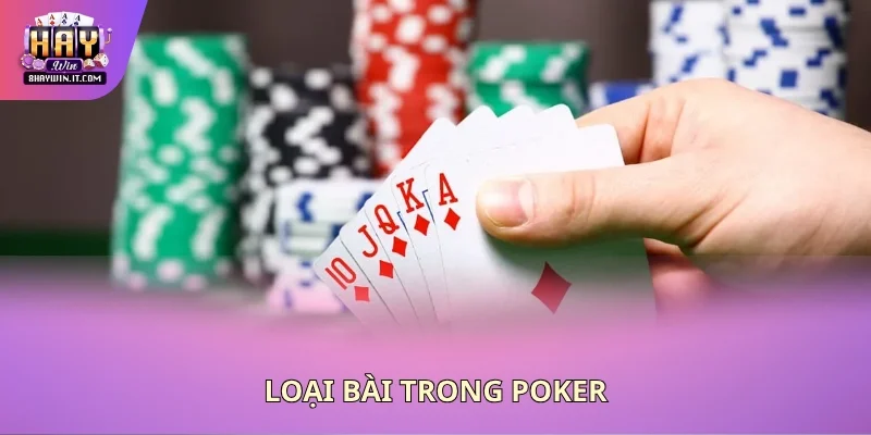 Loại bài trong poker